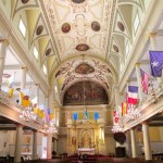 IMG_0217 IMG_0217
