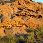 IMG_0976 IMG_0976